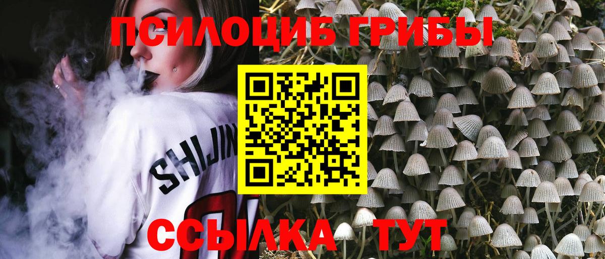 Галлюциногенные грибы Psilocybine cubensis Лысьва